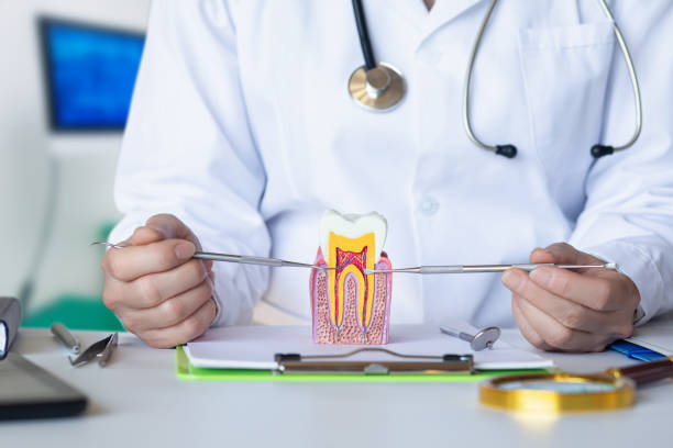 Best Emergency Dental Services for Seniors in Farmersville, CA